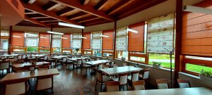 Wellness apartmány Říčky v Orlických horách