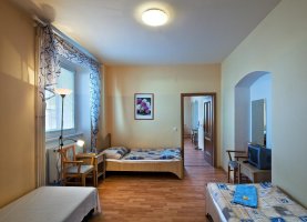 Hotel Bystré