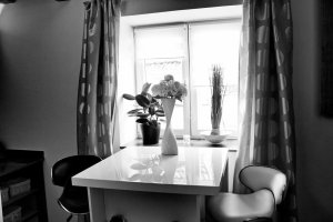 Apartmány Ztracená