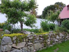 Ubytování Penzion / Kemp  Jedraž