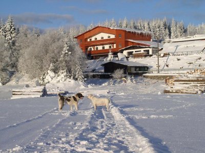 Pension H - Ubytování Krušné hory