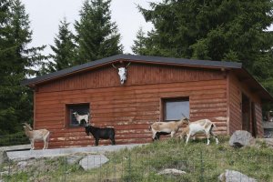 Pension H - Ubytování Krušné hory