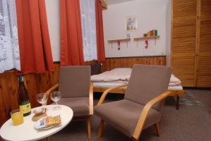 HORSKÝ HOTEL ARNICA