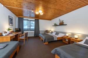 Hotel Šedý vlk