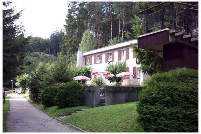 Hotel U Jezera