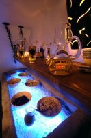 Precis Gastro - Life is Dream