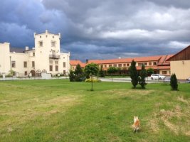 Penzion Trnová