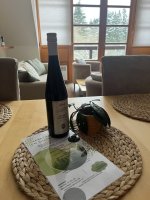 Apartmán Říčky U Sněžného Lva