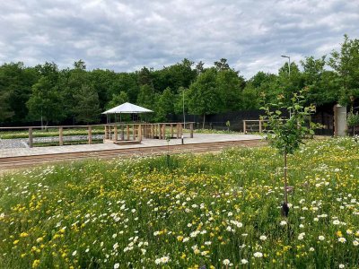 Hájenka pod větrníky