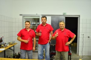 Penzion ve Vinařství Maláník-Osička 