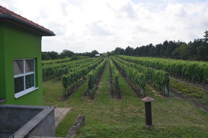 Penzion ve Vinařství Maláník-Osička 