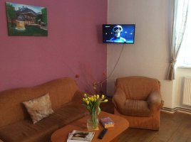 Penzion HANKA Orličky