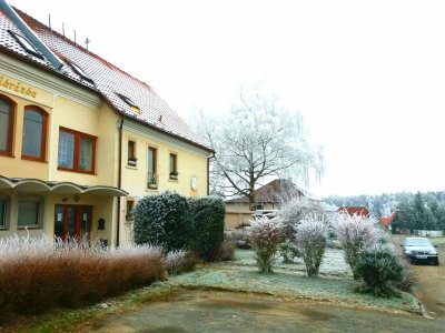 Sedmikráska