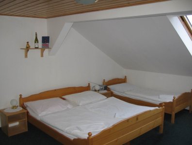WELLNESS PENSION IVETA