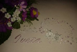 WELLNESS PENSION IVETA