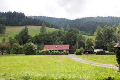 Apartmán Sverana
