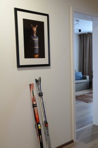 Šumavský apartmán Zadov