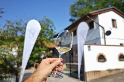 VINAŘSTVÍ DRMOLA - Pension U Obecní Šatlavy