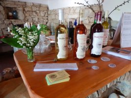 Penzion Aurelius - Mikulenkovi