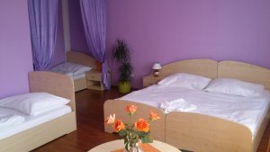 Hotel & Motorest V Údolí Zlatého potoka