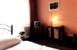 Hotel Bor