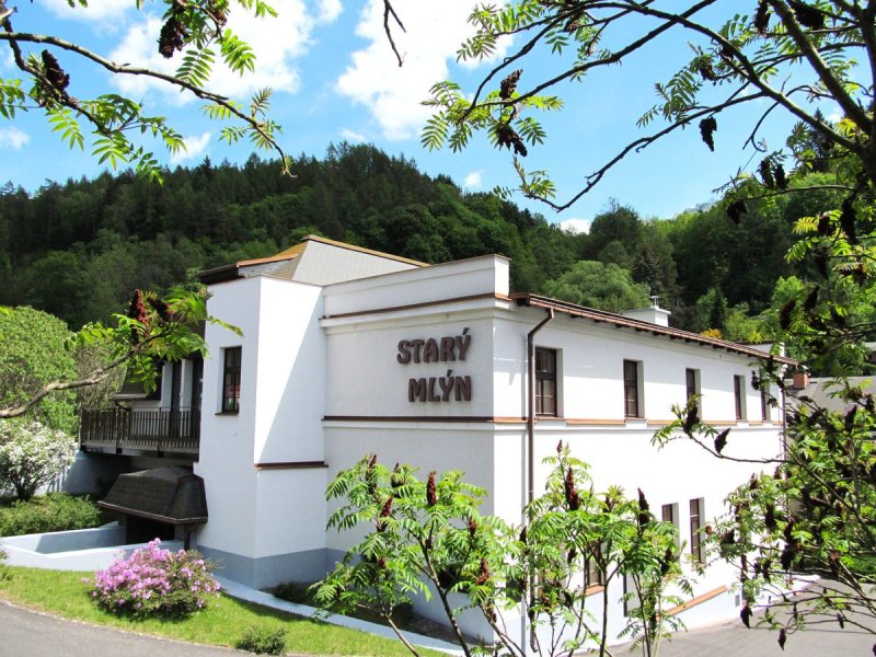 Hotel Starý mlýn