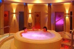 Wellness hotel Horal***