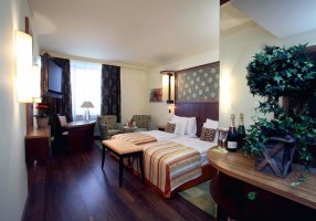 Hotel Savannah deluxe