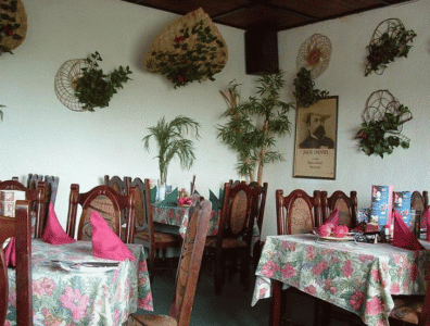Penzion - Restaurace Tropical