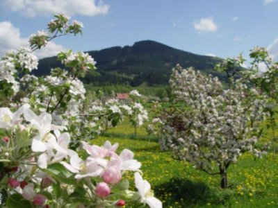 Agropenzion Eco home