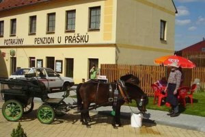 Penzion U Prášků