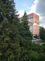 Hotel Apollo
