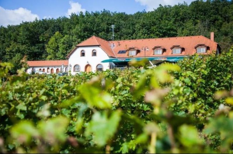 Hotel Sádek