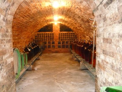 Ubytování s vinným sklepem Pelikán