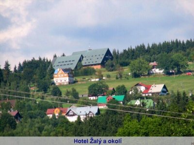 Hotel ŽALÝ