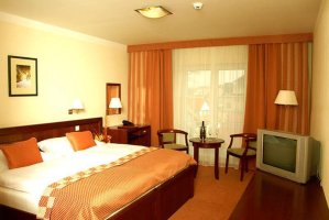 Hotel Francis Palace
