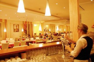 Hotel Francis Palace