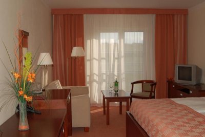 Hotel Francis Palace