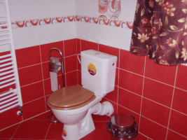 Ubytování Zelená chaloupka