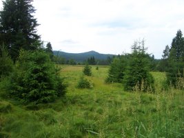 Apartmá Volary