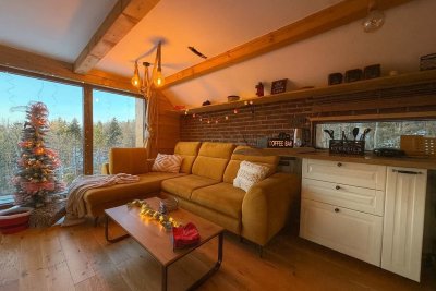 Ubytování Malenovice