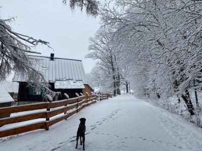 Pravé srdce Šumavy