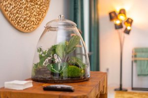 Apartmán Korek