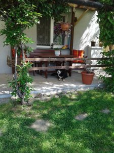Apartmán na Pálenci