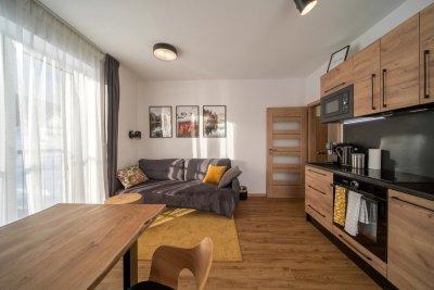 Apartmán U Suchého buku