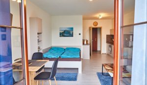 Apartmán Luční