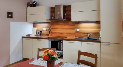 Apartmán Nikol No.25/9 Lipno