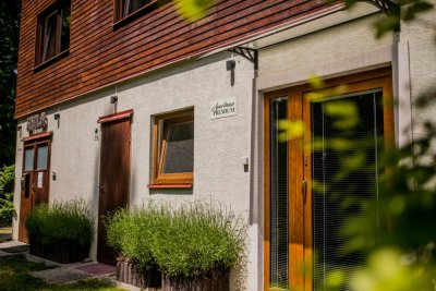 Lesní Penzion Vranov