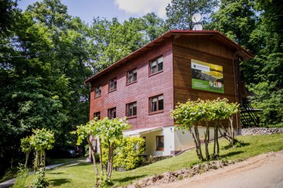 Lesní Penzion Vranov