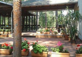 Chatová osada Jachta u Máchova jezera